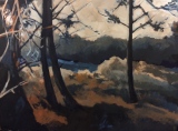 Gelées blanches - Fontainebleau