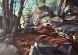 Ombres et lumières sur les rochers - Fontainebleau