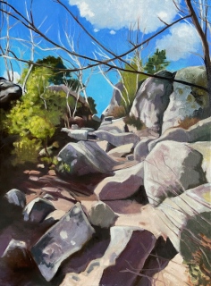 Sur les 25 bosses - Fontainebleau