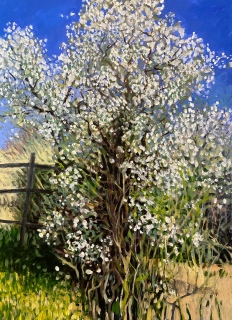 C'est le printemps ! - Paysages